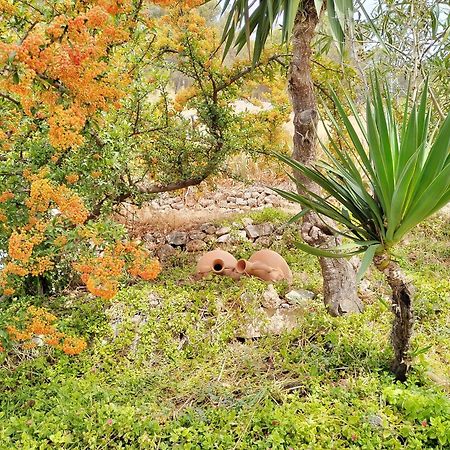 Cueva El Parral Guest House Pegalajar Ngoại thất bức ảnh